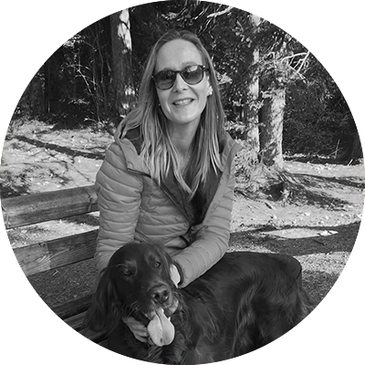 beeli communication Suchmaschinenoptimierung